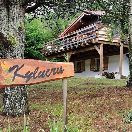 Chalet Kylucru 6 personnes classé 2 étoiles Villa Xonrupt-Longemer Esterno foto