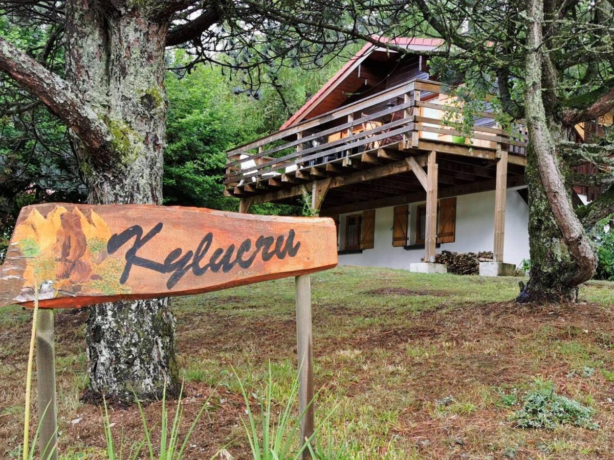 Chalet Kylucru 6 personnes classé 2 étoiles Villa Xonrupt-Longemer Esterno foto